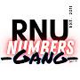 @rnunumbersgang502