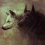 @wolfi4458