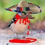 @thegamingpigeon8709