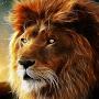 @GMSChaalaqHar144HopefulElect