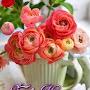 @mymommylife2663