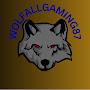 @wolfallgaming87