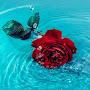 @om.sama.iraq0