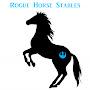 @roguehorsestables2249