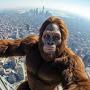 @Bigfootgoestocity