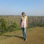 @akshatatribhuwane5766