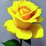 @aseena-s3f