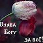 @alla3128