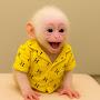 @monkeybibistories