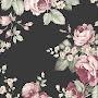 @Rose11-s6p