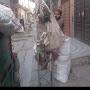 @muhammadumairtariq