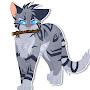 @Firestar_graystripe123