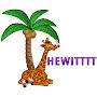@hewitttt