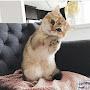 @emelpolat7114