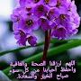 @user-AB1C2DF3GGG