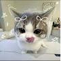 @Laserlseo4233