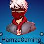 @AliHamza-z6m