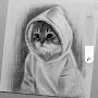 @زكريا______31