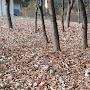 @ESTODKF-k8k