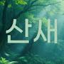 @산새-Scott