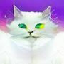 @jack_isepic4582