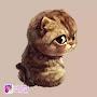 @anaenicolasgamer2815