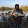 @fishbonesbrigade6704