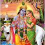 @kavitaupadhyay3348