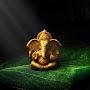 @satyaranjanmondal824