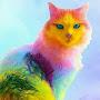 @RainbowKitty-dh1zr