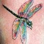 @dragonfly961