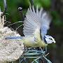 @davidmattimore7602