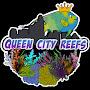 @queencityreefs