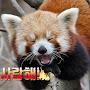 @아리-w9u