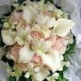 @janeenglish5301