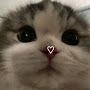 @cherryblossom5336