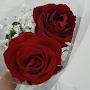 @ilhamhammou9280