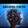 @amazingfacts3401