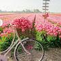 @safiulseikh5832