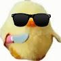 @mr.feathers8697