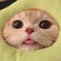 @MeongMbuy
