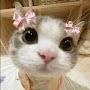 @Avii_YourBestie