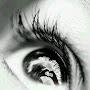 @salehalharbi4724