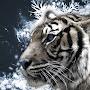 @aiueo700good2