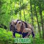 @LEONONARD-15