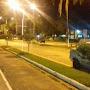 @landimrodrigues9422