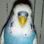 @nurgulsahin7200