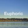 @Euphoric-tracks