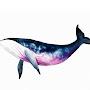 @floatingwhale33