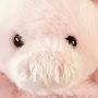 @꾸꾸채널-pig